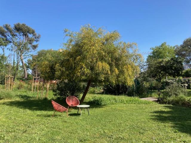 Un Jardin Dans La Ville La Ciotat Buitenkant foto